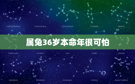 属兔36岁本命年很可怕，1987属兔人2023年全年运势运程