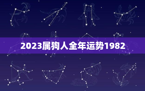 2023属狗人全年运势1982，肖狗人2023年总体运程