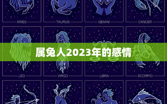 属兔人2023年的感情，属兔在2023年