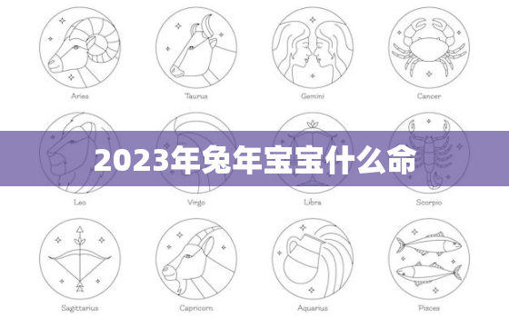 2023年兔年宝宝什么命，2023年兔年宝宝怎么样