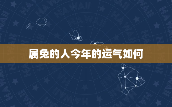 属兔的人今年的运气如何，属兔的人今年的运气怎么样