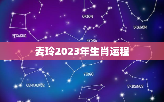 麦玲2023年生肖运程，2022年运程麦玲玲