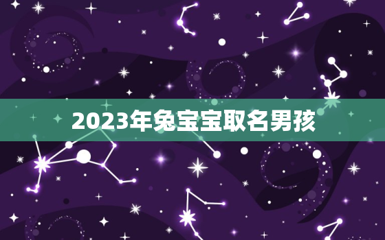 2023年兔宝宝取名男孩，2023年兔宝宝起什么名字好