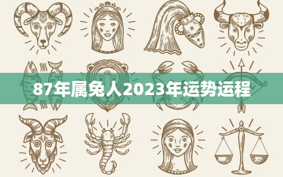 87年属兔人2023年运势运程，87年属兔人2023年运势及财运