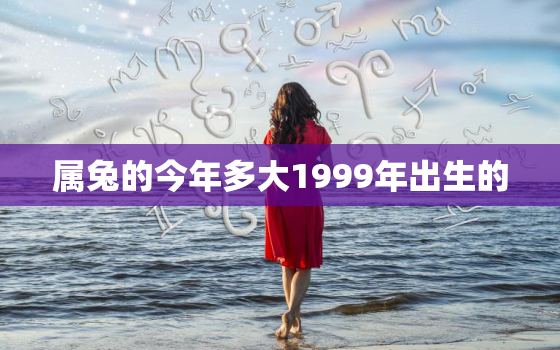 属兔的今年多大1999年出生的，1999属兔今年几周岁