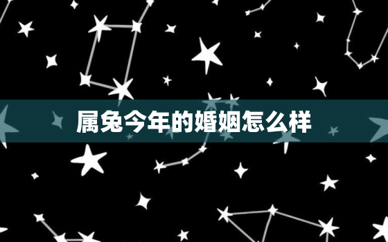 属兔今年的婚姻怎么样，属兔今年的婚姻怎么样男