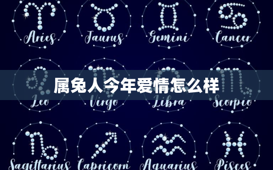 属兔人今年爱情怎么样，属兔人今年感情方面