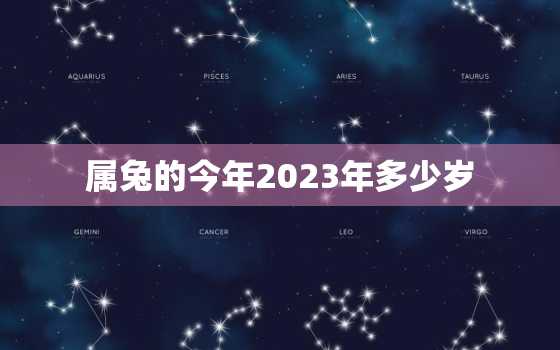 属兔的今年2023年多少岁，属兔的人2023