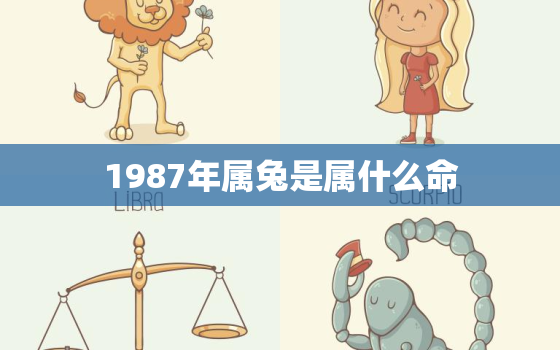 1987年属兔是属什么命，1987年属兔是什么兔