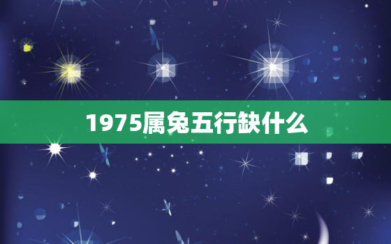 1975属兔五行缺什么，1975属兔人五行是什么