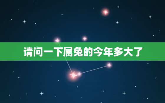 请问一下属兔的今年多大了，属兔的今年多大岁数请告诉我