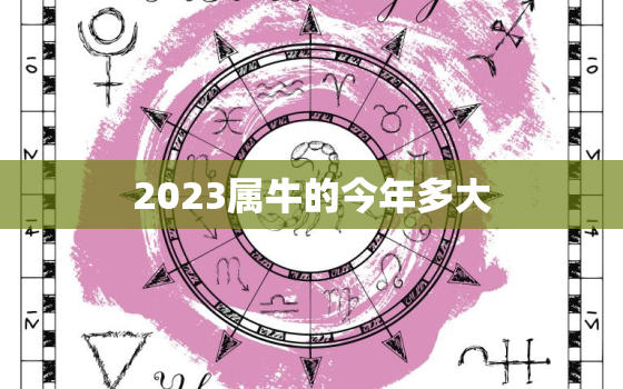 2023属牛的今年多大，属牛的人2023年