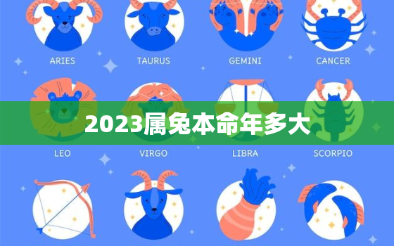 2023属兔本命年多大，2023年本命年