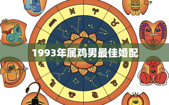 1993年属鸡男最佳婚配，1993年属鸡男最佳婚配生肖