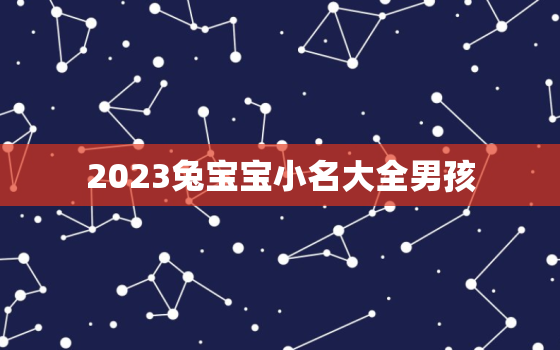 2023兔宝宝小名大全男孩，2023年兔宝宝起名字