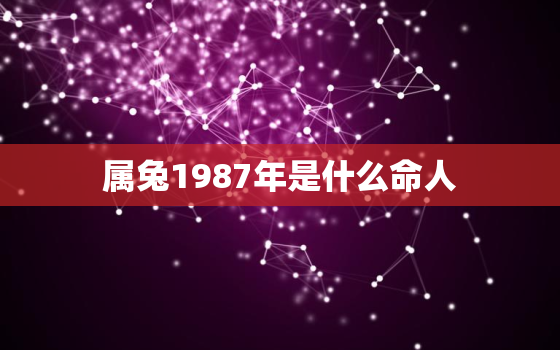 属兔1987年是什么命人，属兔1987年的是什么命