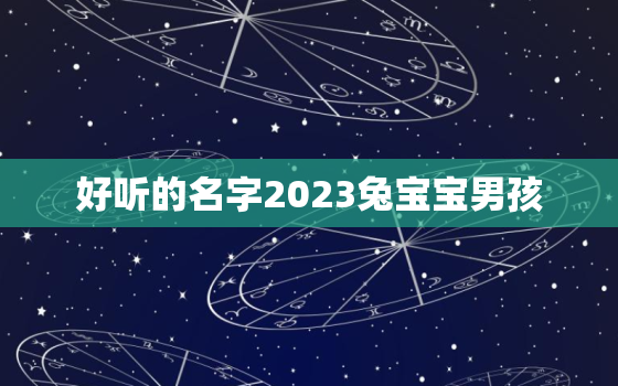 好听的名字2023兔宝宝男孩，好听的名字2023兔宝宝男孩两个字