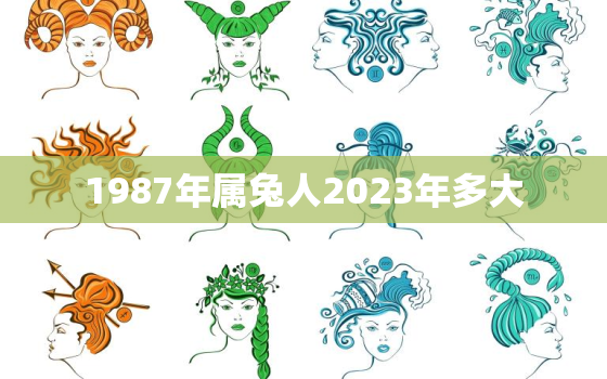 1987年属兔人2023年多大，1987年的兔在2023年的运势怎么样