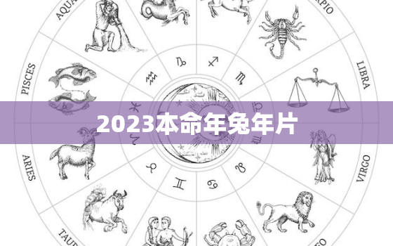 2023本命年兔年片，2023年本命年运势如何