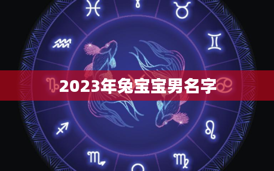 2023年兔宝宝男名字，2023年兔宝宝起名