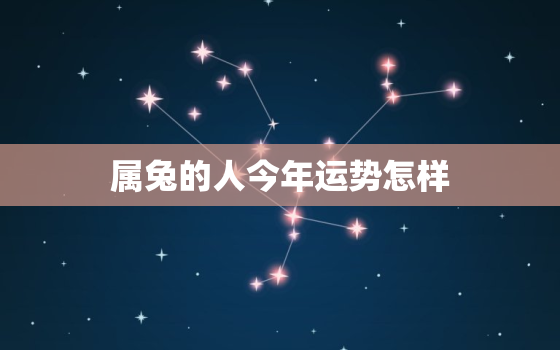 属兔的人今年运势怎样，属兔的人今年运势怎样2020