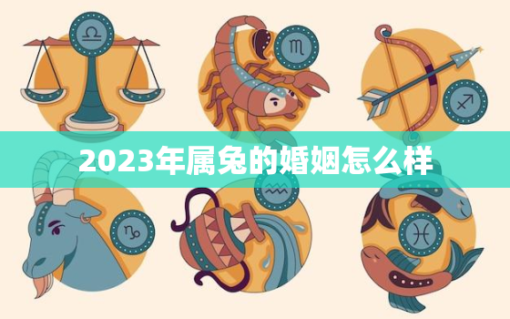 2023年属兔的婚姻怎么样，2023年属兔的婚姻怎么样啊