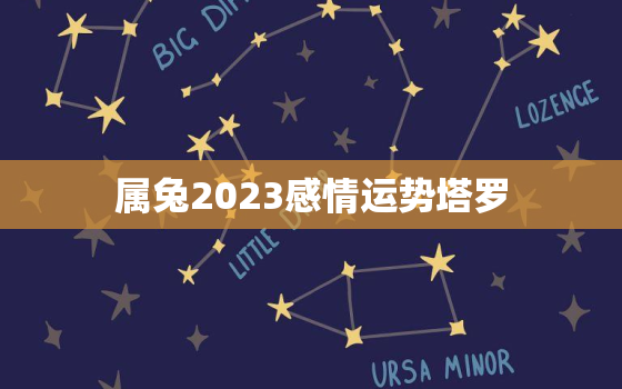 属兔2023感情运势塔罗，属兔运势2023年运势详解