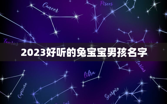 2023好听的兔宝宝男孩名字，2023兔年男孩取什么名字好