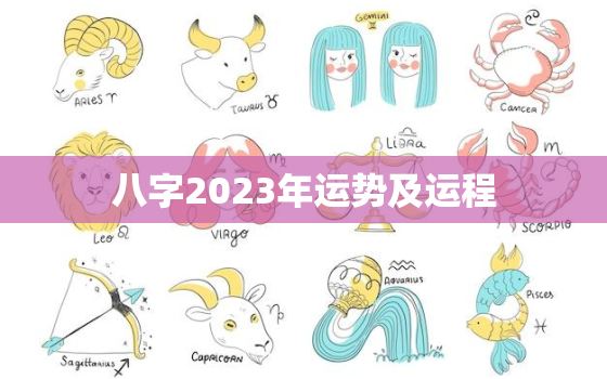 八字2023年运势及运程，八字2023年运势及运程详解