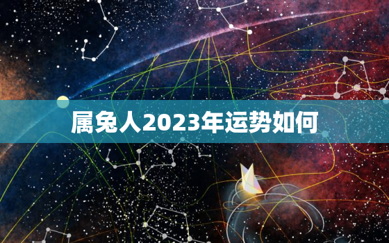 属兔人2023年运势如何，1987年属兔人2023年运势如何