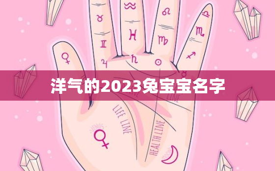 洋气的2023兔宝宝名字，2023年兔宝宝命格好么