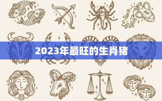 2023年最旺的生肖猪，属猪的人一生命运如何