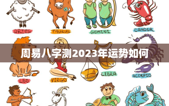 周易八字测2023年运势如何，2023年算命