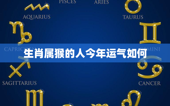 生肖属猴的人今年运气如何，属猴人今年运气咋样