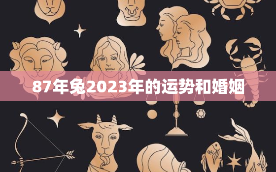 87年兔2023年的运势和婚姻，87年属兔2023年婚姻运势及运程及每月的运势