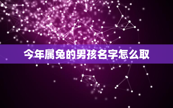 今年属兔的男孩名字怎么取，属兔男孩取名大全