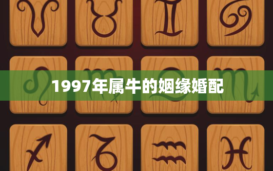 1997年属牛的姻缘婚配，1997年属牛的婚姻状况怎么样