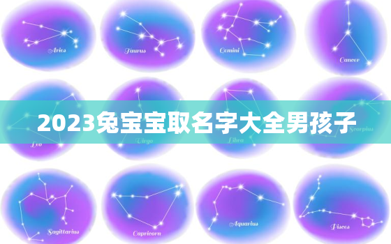 2023兔宝宝取名字大全男孩子，2023兔宝宝取名字大全男孩子两个字