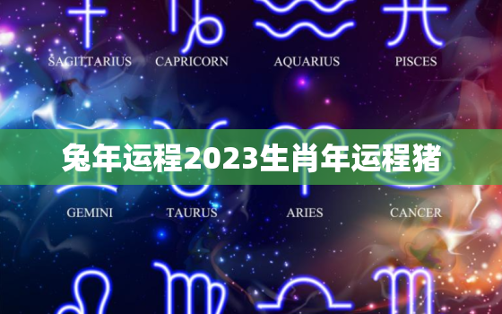 兔年运程2023生肖年运程猪，兔2023年运势及运程