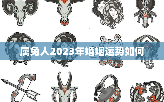 属兔人2023年婚姻运势如何，属兔的人2023年