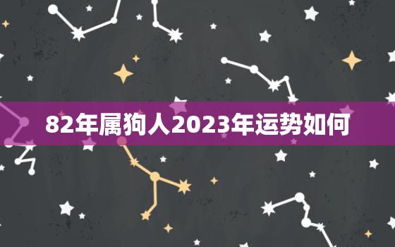 82年属狗人2023年运势如何，82年2023年属狗的运程