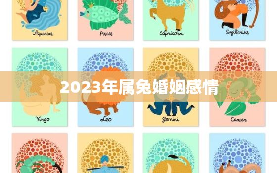 2023年属兔婚姻感情，2023年属兔人适合结婚吗