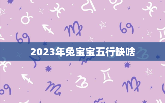 2023年兔宝宝五行缺啥，2023年属兔五行缺什么