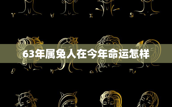 63年属兔人在今年命运怎样，63年属兔今年的运气怎么样