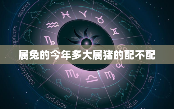 属兔的今年多大属猪的配不配，属兔的今年几岁对照表