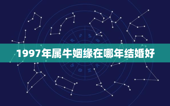 1997年属牛姻缘在哪年结婚好，1997属牛婚姻年是哪年