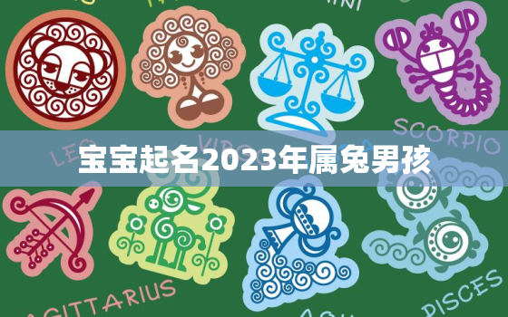 宝宝起名2023年属兔男孩，宝宝起名2023年属兔男孩取名