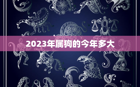 2023年属狗的今年多大，2023年属狗人的人