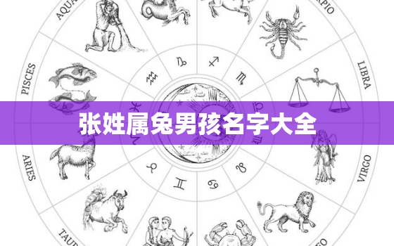 张姓属兔男孩名字大全，姓张属兔的男孩名字