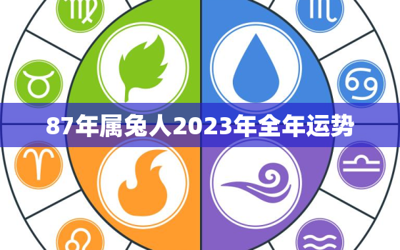 87年属兔人2023年全年运势，87年属兔2023年运势及运程